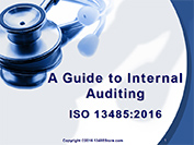 2016 Internal Audit PPT